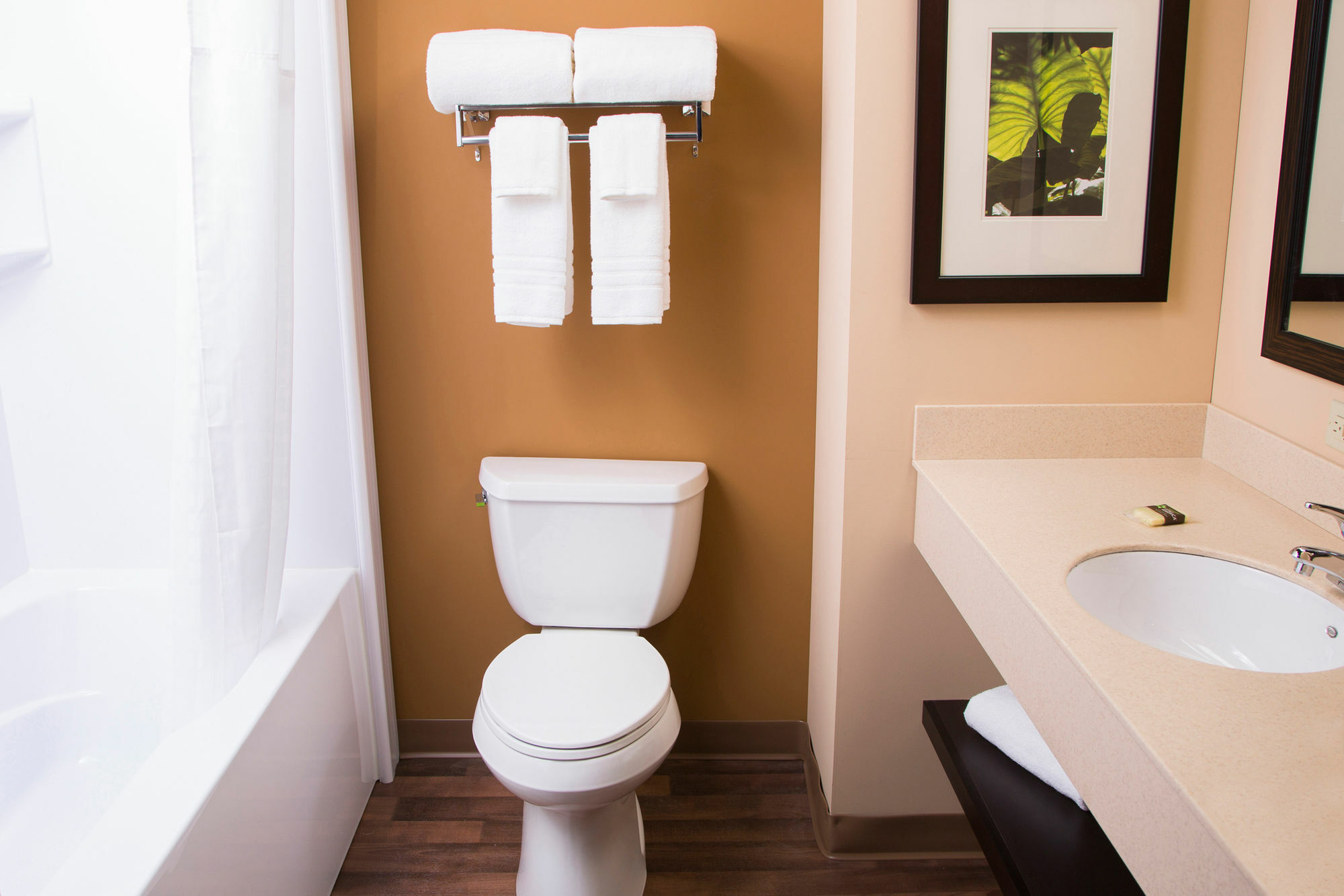 Extended Stay America - Houston - Med. Ctr. - Nrg Park - Fannin St. Екстер'єр фото
